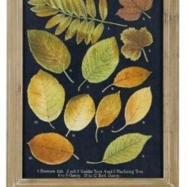 Quadro
